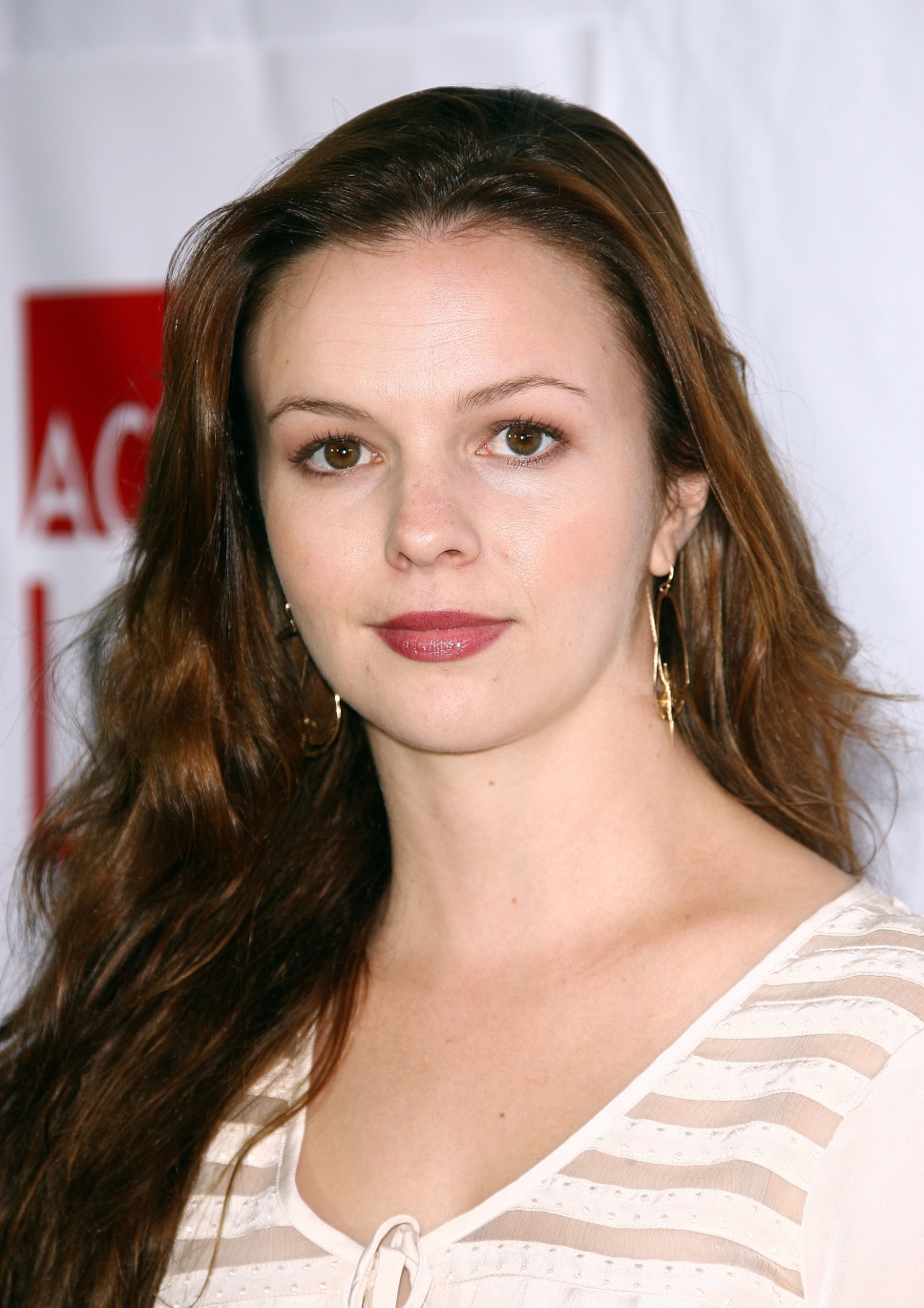 Amber tamblyn