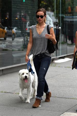 Olivia Wilde walking her dog in New York City - July 22, 2013 