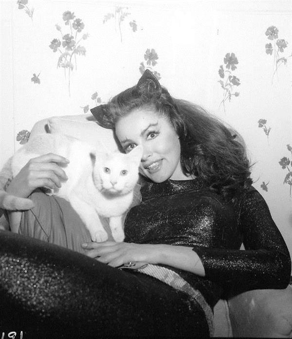 Julie Newmar