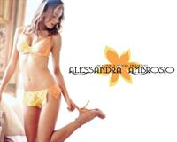 Alessandra Ambrosio in lingerie