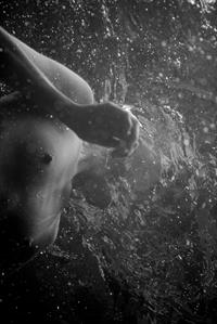 Elsa Hosk - breasts