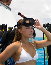 Hayden Panettiere in a bikini