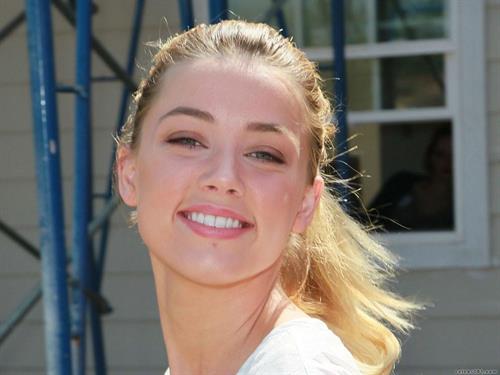 Amber Heard