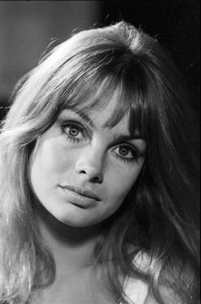 Jean Shrimpton