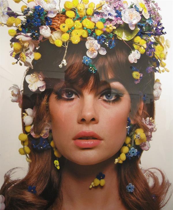 Jean Shrimpton