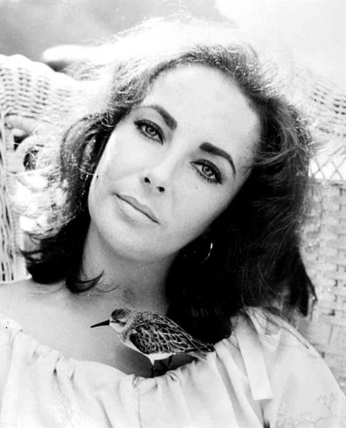 Elizabeth Taylor