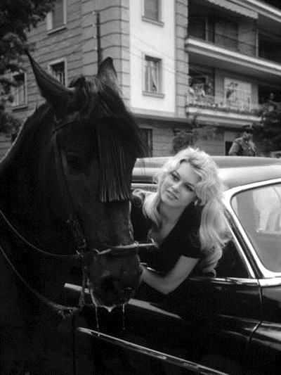 Brigitte Bardot