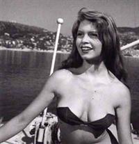 Brigitte Bardot