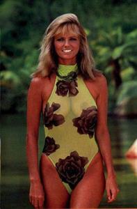 Cheryl Tiegs in a bikini