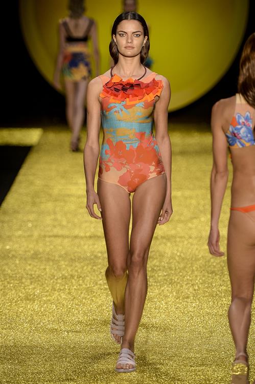 Barbara Fialho in a bikini