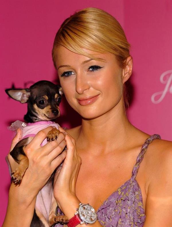 Paris Hilton