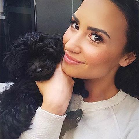 Demi Lovato