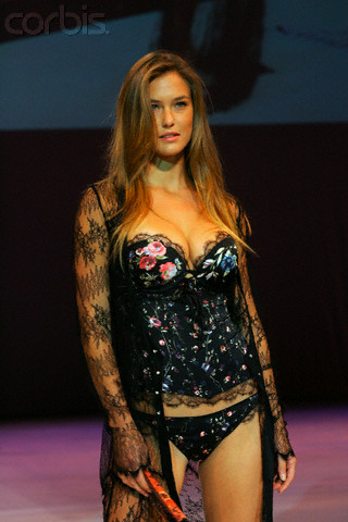 Bar Refaeli in lingerie