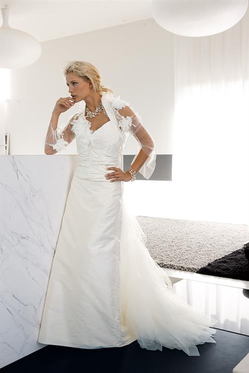 Jessica Van Der Steen