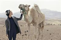 Jessica Van Der Steen