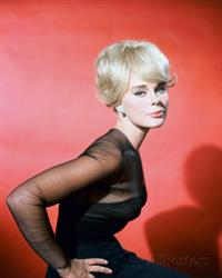 Elke Sommer