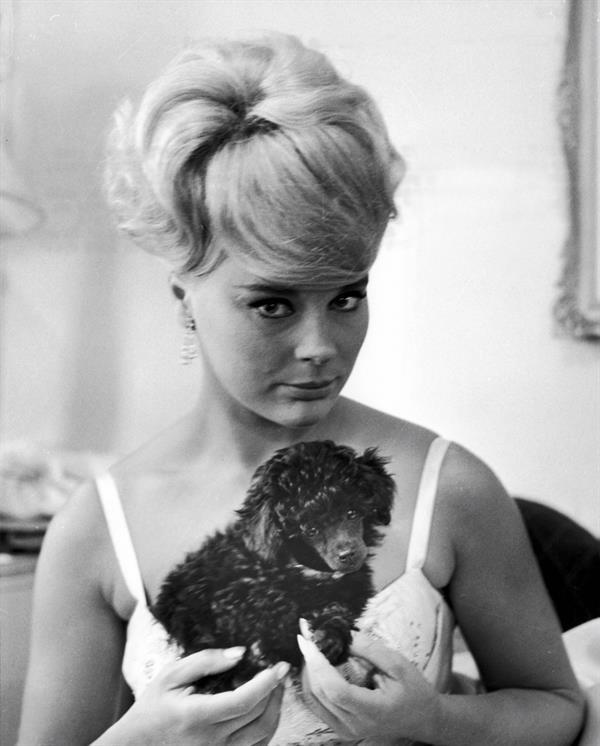 Elke Sommer