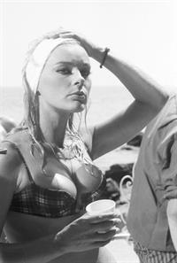 Elke Sommer in a bikini