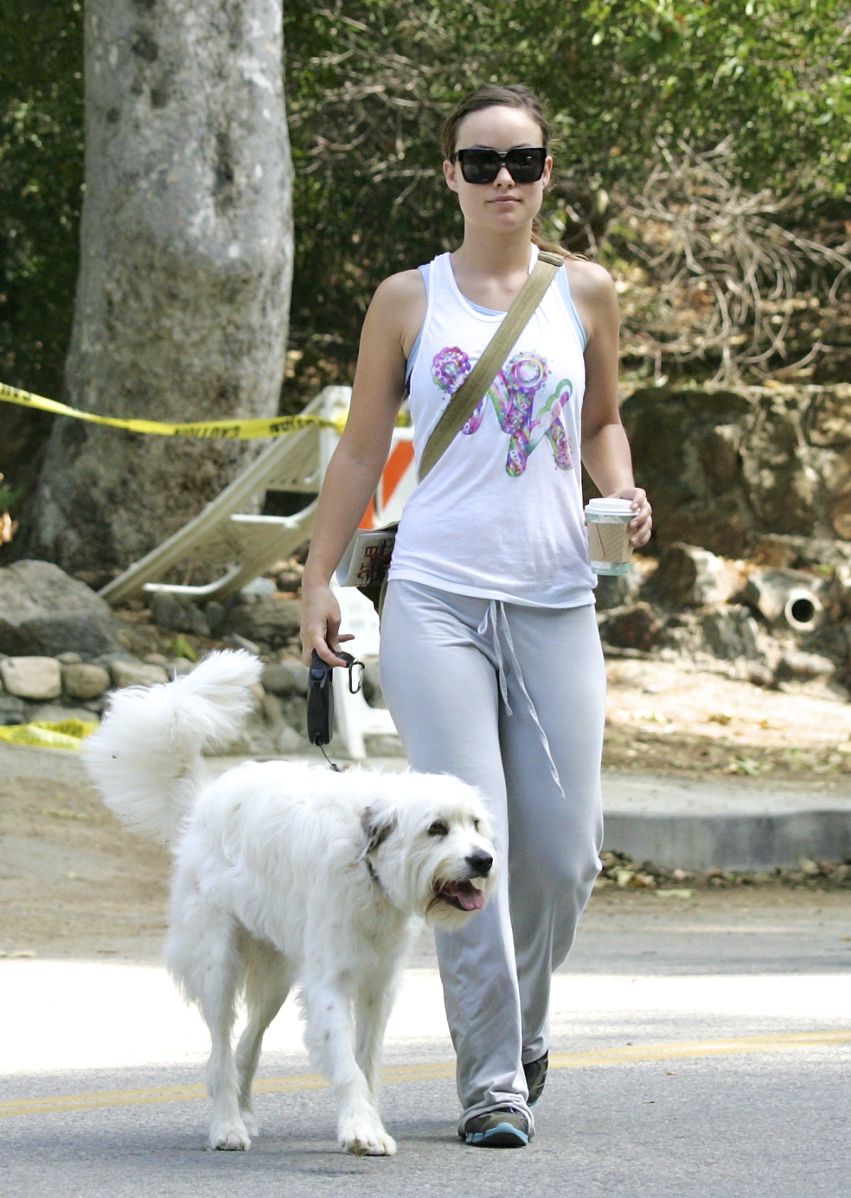 Olivia Wilde walking her dog in the Hollywood Hills on June 24, 2011