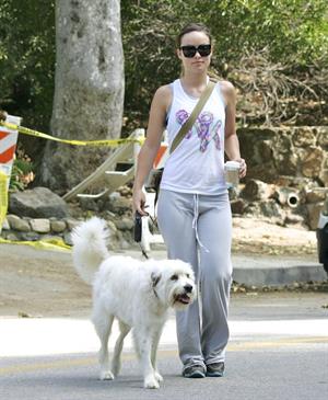 Olivia Wilde walking her dog in the Hollywood Hills on June 24, 2011