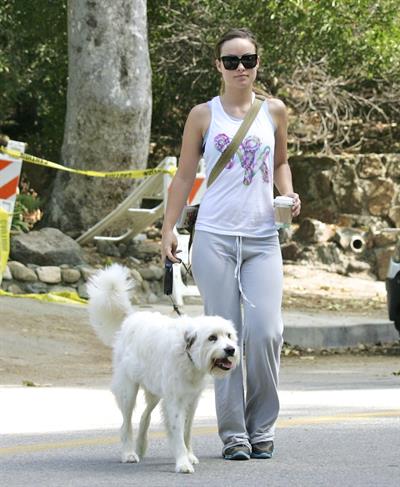 Olivia Wilde walking her dog in the Hollywood Hills on June 24, 2011