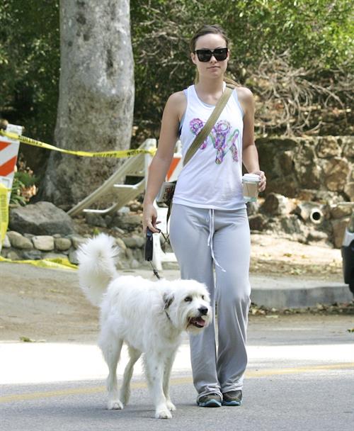 Olivia Wilde walking her dog in the Hollywood Hills on June 24, 2011