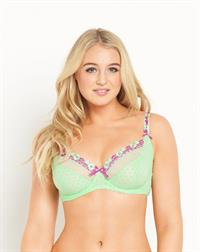 Iskra Lawrence in lingerie