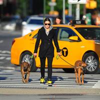 Jessica Biel Takes her two dogs for a long walk in SoHo (May 4, 2013) 