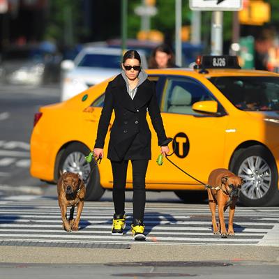 Jessica Biel Takes her two dogs for a long walk in SoHo (May 4, 2013) 