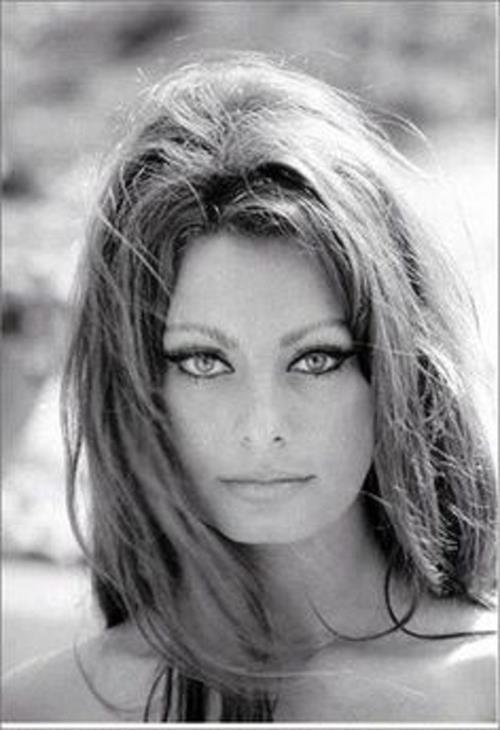 Sophia Loren