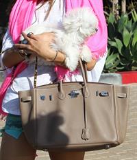 Alessandra Ambrosio at the Country Mart in Malibu on May 28, 2011