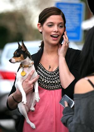 Ashley Greene and her dog Marlow out and about in Beverly Hills on January 15 