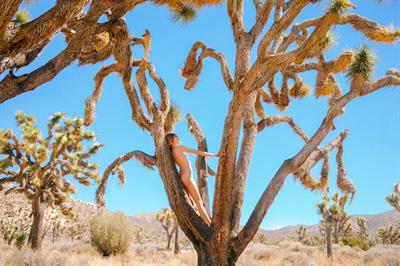 Cora Keegan - breasts