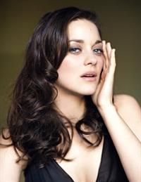 Marion Cotillard