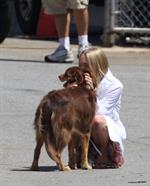 Amanda Seyfried on the set of The Wedding in Stamford on July 28, 2011
