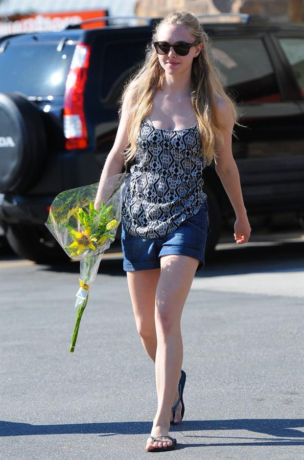 Amanda Seyfried picks up some flowers in Hollywood on October 10, 2010 