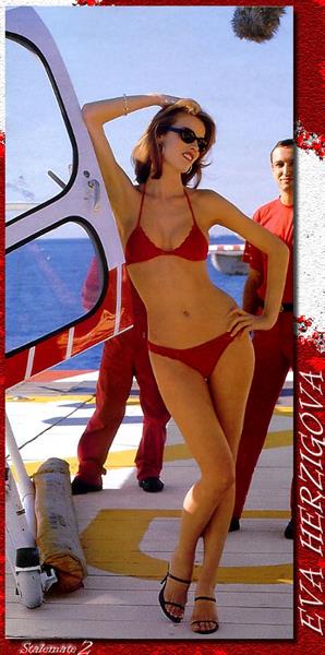 Eva Herzigova in a bikini