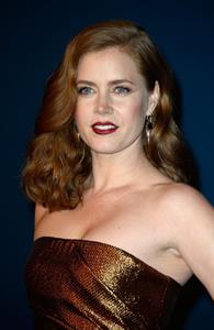 Amy Adams 2013 LACMA Art Film Gala in LA,November 2, 2013 