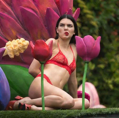 Kendall Jenner in a bikini