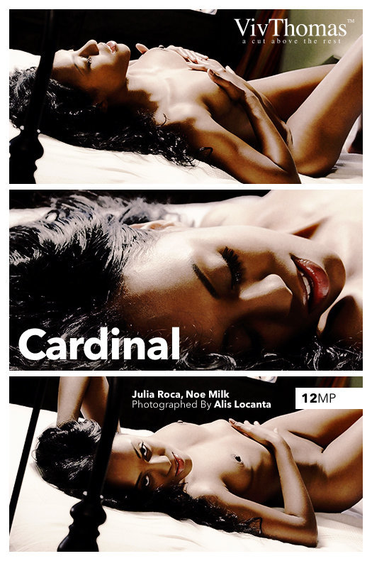Julia Roca, Noe Milk: Cardinal by Alis Locanta