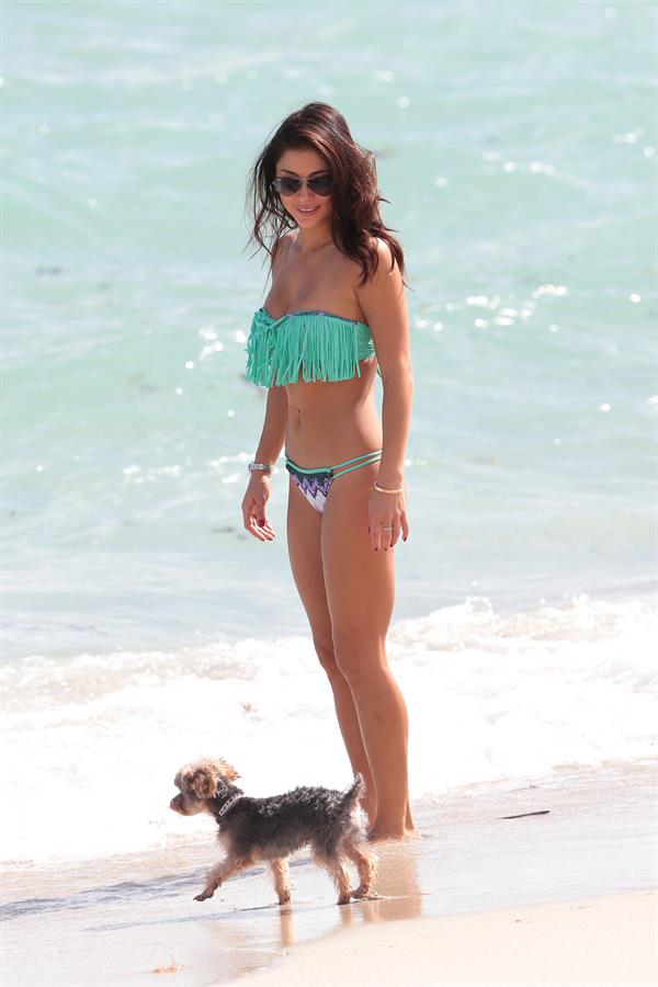 Arianny Celeste wears a sexy Bikini to the beach with her dog Bentley in Miami Nov 1, 2013 