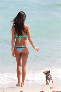 Arianny Celeste wears a sexy Bikini to the beach with her dog Bentley in Miami Nov 1, 2013 