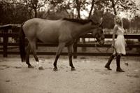 Arielle Kebbel pays tribute to her 1200 pound baby Pacific Breeze during a portrait session Los Angeles 