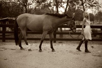 Arielle Kebbel pays tribute to her 1200 pound baby Pacific Breeze during a portrait session Los Angeles 