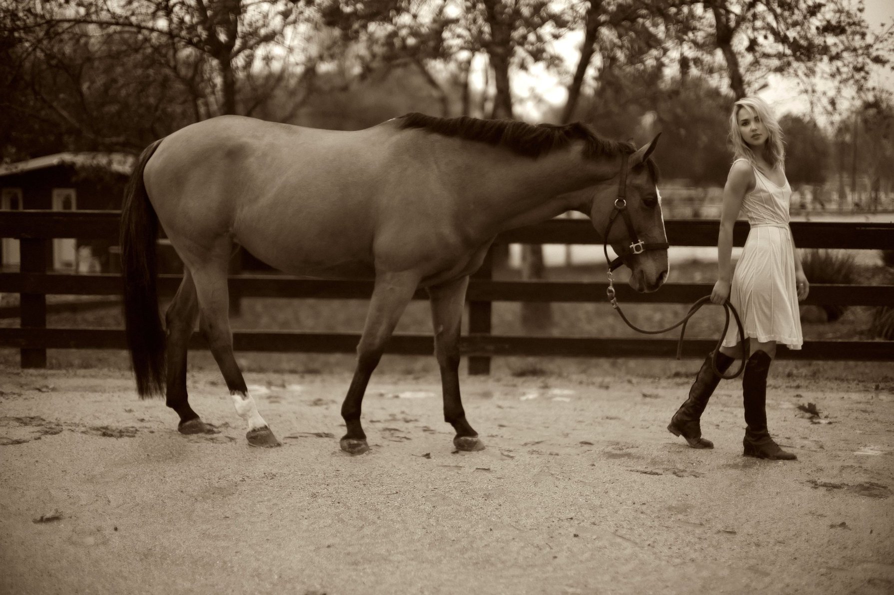 Arielle Kebbel pays tribute to her 1200 pound baby Pacific Breeze during a portrait session Los Angeles 