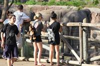 Ashley Benson and Vanessa Hudgens at Busch Gardens in Tampa Bay on March 3, 2012