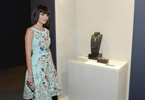Camilla Belle A Quest for Beauty ehibit in Santa Ana,October 26, 2013 