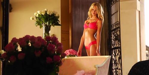 Erin Heatherton in lingerie