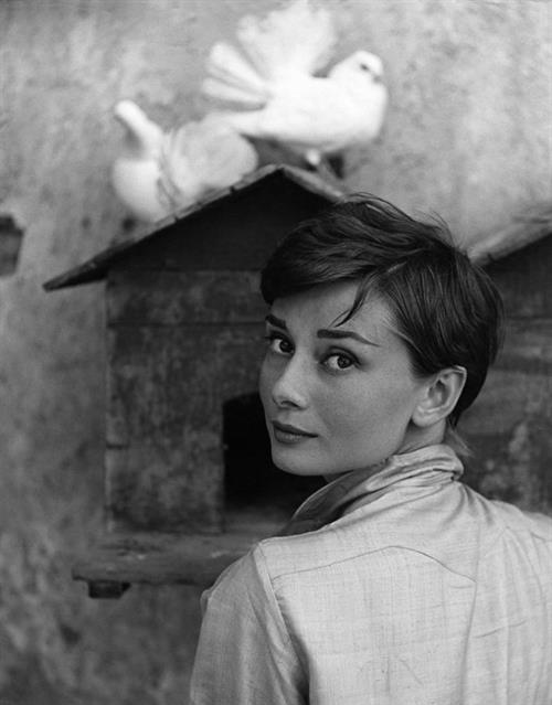 Audrey Hepburn