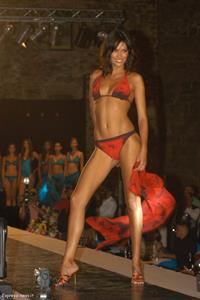 Fernanda Lessa in a bikini